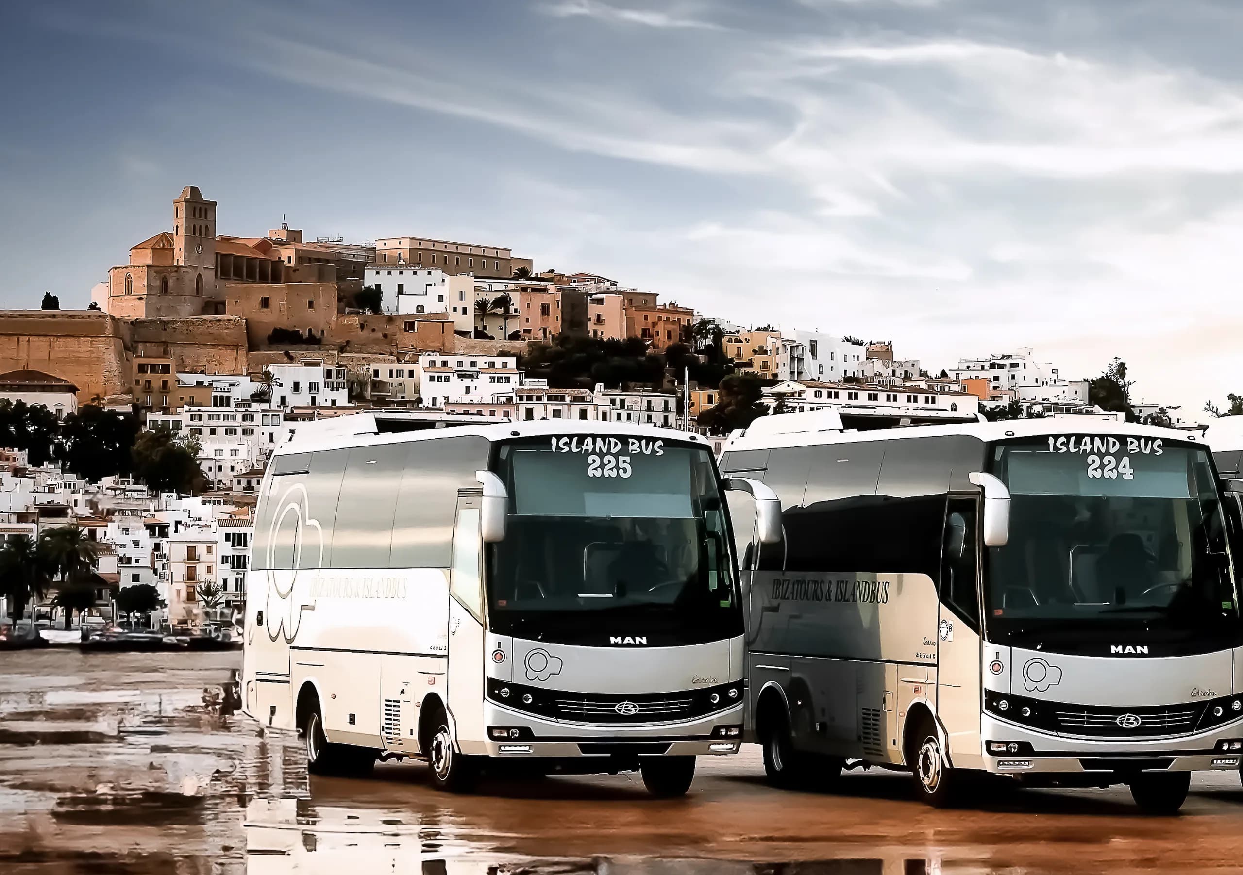 Four full-size coaches lined up on the Ibiza harbour front below Dalt Vila and the old town